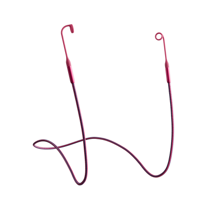 Tomorrowland x Loop Link