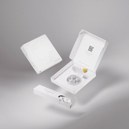 Swarovski x Loop Experience™ 2
